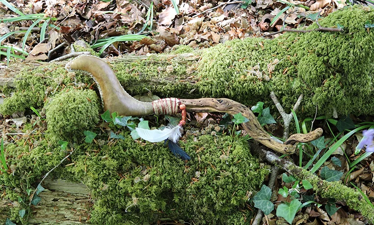 A rattle with a curved handle lying on a moss-covered fallen log in woodland